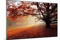 Photographic Print