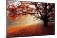 Photographic Print