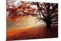Photographic Print