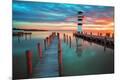 Photographic Print
