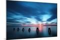 Premium Photographic Print