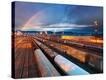 Stretched Canvas Print