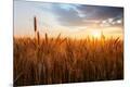 Premium Photographic Print