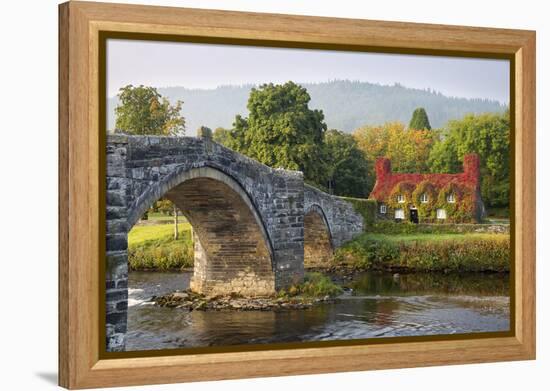 Tu Hwnt I'R Bont Tearoom and Pont Fawr (Big Bridge) in Autumn, Llanrwst, Snowdonia, Conwy, Wales-Stuart Black-Framed Premier Image Canvas