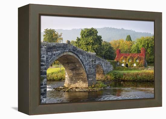 Tu Hwnt I'R Bont Tearoom and Pont Fawr (Big Bridge) in Autumn, Llanrwst, Snowdonia, Conwy, Wales-Stuart Black-Framed Premier Image Canvas