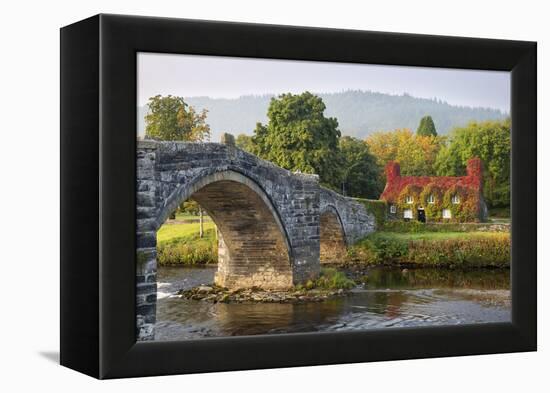 Tu Hwnt I'R Bont Tearoom and Pont Fawr (Big Bridge) in Autumn, Llanrwst, Snowdonia, Conwy, Wales-Stuart Black-Framed Premier Image Canvas