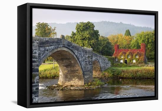 Tu Hwnt I'R Bont Tearoom and Pont Fawr (Big Bridge) in Autumn, Llanrwst, Snowdonia, Conwy, Wales-Stuart Black-Framed Premier Image Canvas