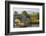 Tu Hwnt I'R Bont Tearoom and Pont Fawr (Big Bridge) in Autumn, Llanrwst, Snowdonia, Conwy, Wales-Stuart Black-Framed Photographic Print