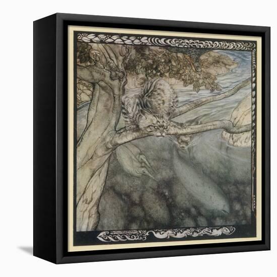 Tuan as a Salmon-Arthur Rackham-Framed Stretched Canvas