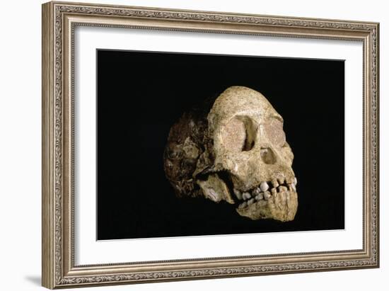 Tuang Child Skull-Javier Trueba-Framed Photographic Print