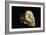 Tuang Child Skull-Javier Trueba-Framed Photographic Print