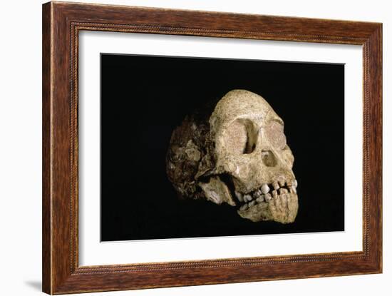 Tuang Child Skull-Javier Trueba-Framed Photographic Print