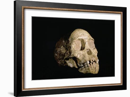 Tuang Child Skull-Javier Trueba-Framed Photographic Print