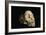 Tuang Child Skull-Javier Trueba-Framed Photographic Print