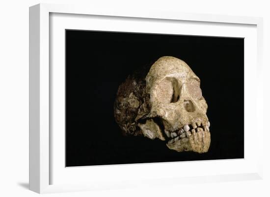 Tuang Child Skull-Javier Trueba-Framed Photographic Print