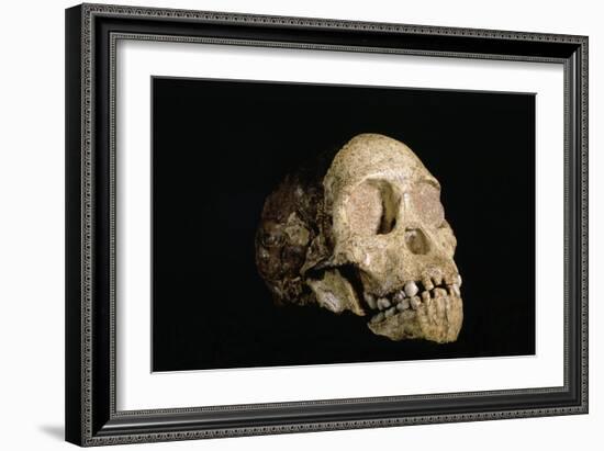 Tuang Child Skull-Javier Trueba-Framed Photographic Print