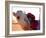 Tuareg and Dromedary, Sebha, Ubari, Libya, North Africa, Africa-Godong-Framed Photographic Print