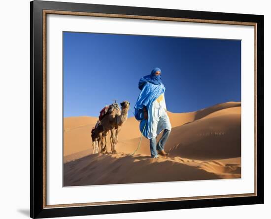 Tuareg Man Leading Camel Train, Erg Chebbi, Sahara Desert, Morocco-Peter Adams-Framed Photographic Print