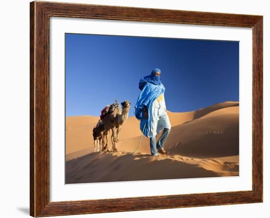 Tuareg Man Leading Camel Train, Erg Chebbi, Sahara Desert, Morocco-Peter Adams-Framed Photographic Print