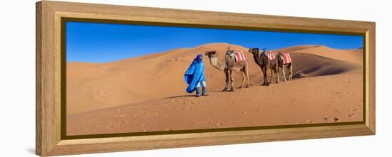 Tuareg Man Leading Camel Train in Desert, Erg Chebbi Dunes, Sahara Desert, Morocco-null-Framed Stretched Canvas