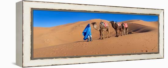 Tuareg Man Leading Camel Train in Desert, Erg Chebbi Dunes, Sahara Desert, Morocco-null-Framed Stretched Canvas