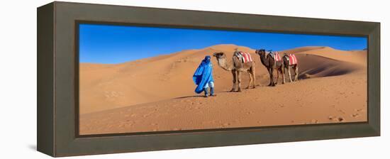 Tuareg Man Leading Camel Train in Desert, Erg Chebbi Dunes, Sahara Desert, Morocco-null-Framed Stretched Canvas