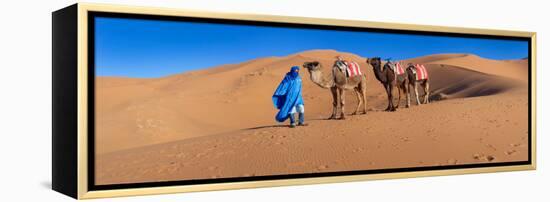 Tuareg Man Leading Camel Train in Desert, Erg Chebbi Dunes, Sahara Desert, Morocco-null-Framed Stretched Canvas