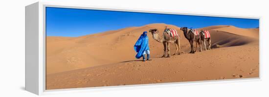 Tuareg Man Leading Camel Train in Desert, Erg Chebbi Dunes, Sahara Desert, Morocco-null-Framed Stretched Canvas