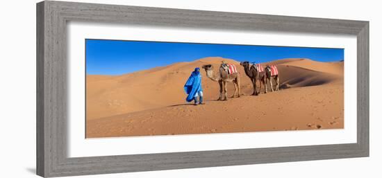 Tuareg Man Leading Camel Train in Desert, Erg Chebbi Dunes, Sahara Desert, Morocco-null-Framed Photographic Print