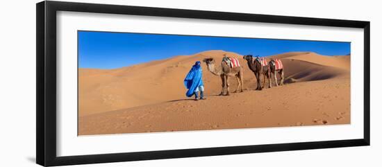 Tuareg Man Leading Camel Train in Desert, Erg Chebbi Dunes, Sahara Desert, Morocco-null-Framed Photographic Print