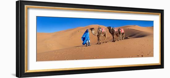 Tuareg Man Leading Camel Train in Desert, Erg Chebbi Dunes, Sahara Desert, Morocco-null-Framed Photographic Print