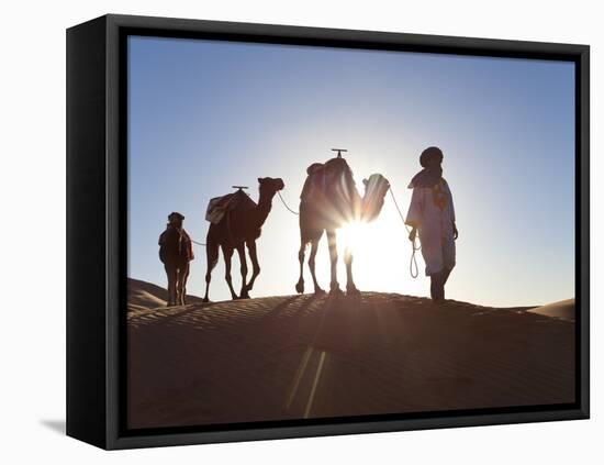 Tuareg Man with Camel Train, Erg Chebbi, Sahara Desert, Morocco-Peter Adams-Framed Premier Image Canvas