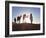 Tuareg Man with Camel Train, Erg Chebbi, Sahara Desert, Morocco-Peter Adams-Framed Photographic Print