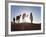 Tuareg Man with Camel Train, Erg Chebbi, Sahara Desert, Morocco-Peter Adams-Framed Photographic Print