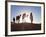 Tuareg Man with Camel Train, Erg Chebbi, Sahara Desert, Morocco-Peter Adams-Framed Photographic Print