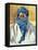 Tuareg Tribesman, Timbuctoo, 1991-Tilly Willis-Framed Premier Image Canvas