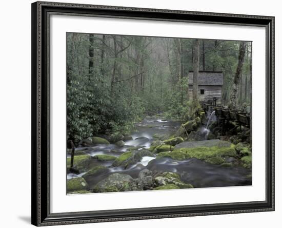 Tub Mill along Roaring Fork, Great Smoky Mountains National Park, Tennessee, USA-Adam Jones-Framed Photographic Print