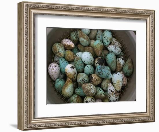 Tub of Guillemot Eggs-null-Framed Photographic Print