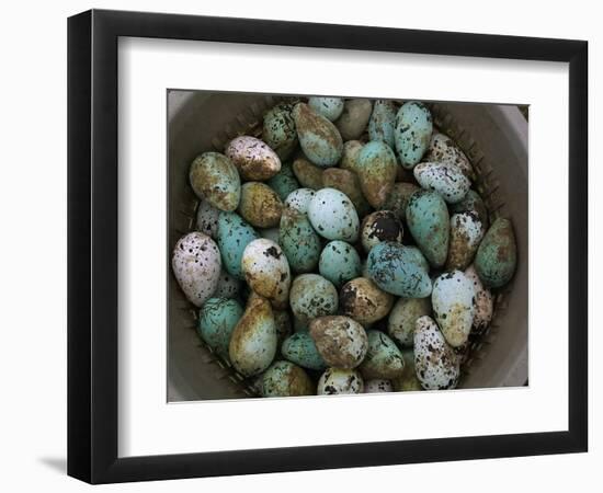 Tub of Guillemot Eggs-null-Framed Photographic Print