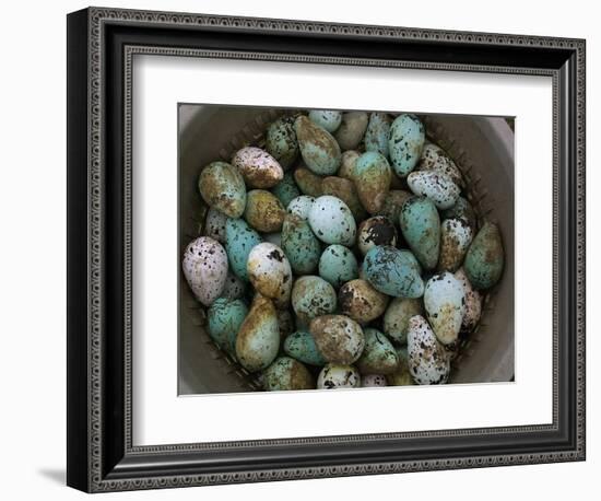 Tub of Guillemot Eggs-null-Framed Photographic Print