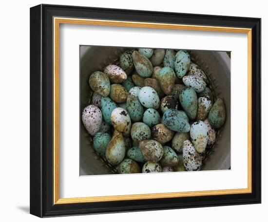 Tub of Guillemot Eggs-null-Framed Photographic Print