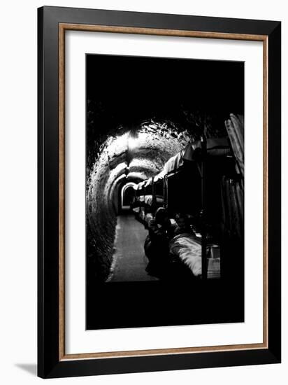 Tube Beds-Toni Frissell-Framed Art Print