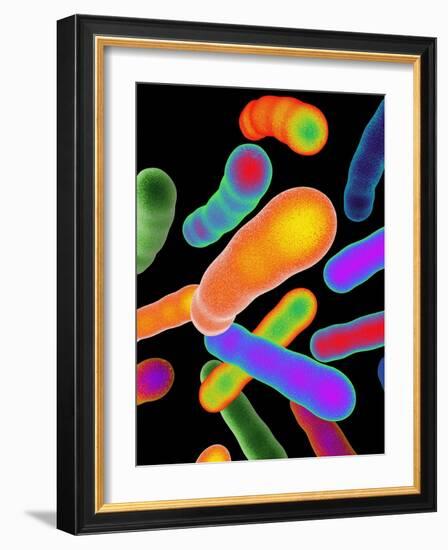 Tuberculosis Bacteria, Artwork-Mehau Kulyk-Framed Photographic Print