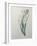 Tuberosa-Pierre-Joseph Redoute-Framed Art Print