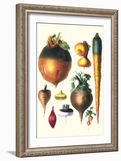 Tubers II-Philippe-Victoire Leveque de Vilmorin-Framed Art Print