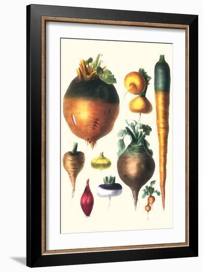 Tubers II-Philippe-Victoire Leveque de Vilmorin-Framed Art Print