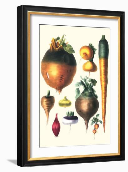 Tubers II-Philippe-Victoire Leveque de Vilmorin-Framed Art Print