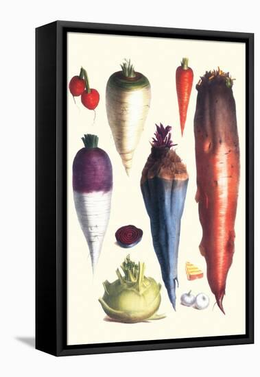 Tubers III-Philippe-Victoire Leveque de Vilmorin-Framed Stretched Canvas