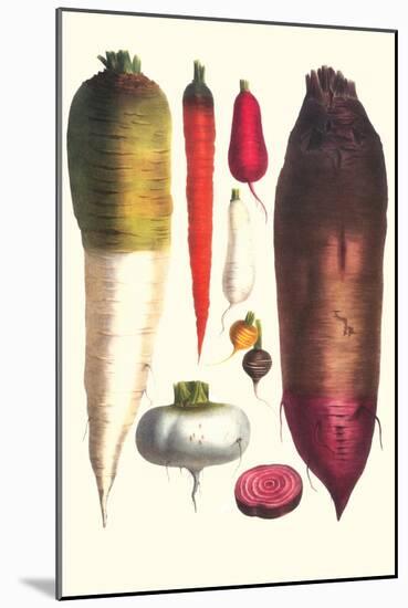 Tubers-Philippe-Victoire Leveque de Vilmorin-Mounted Art Print