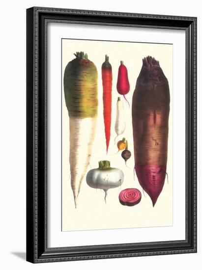 Tubers-Philippe-Victoire Leveque de Vilmorin-Framed Art Print